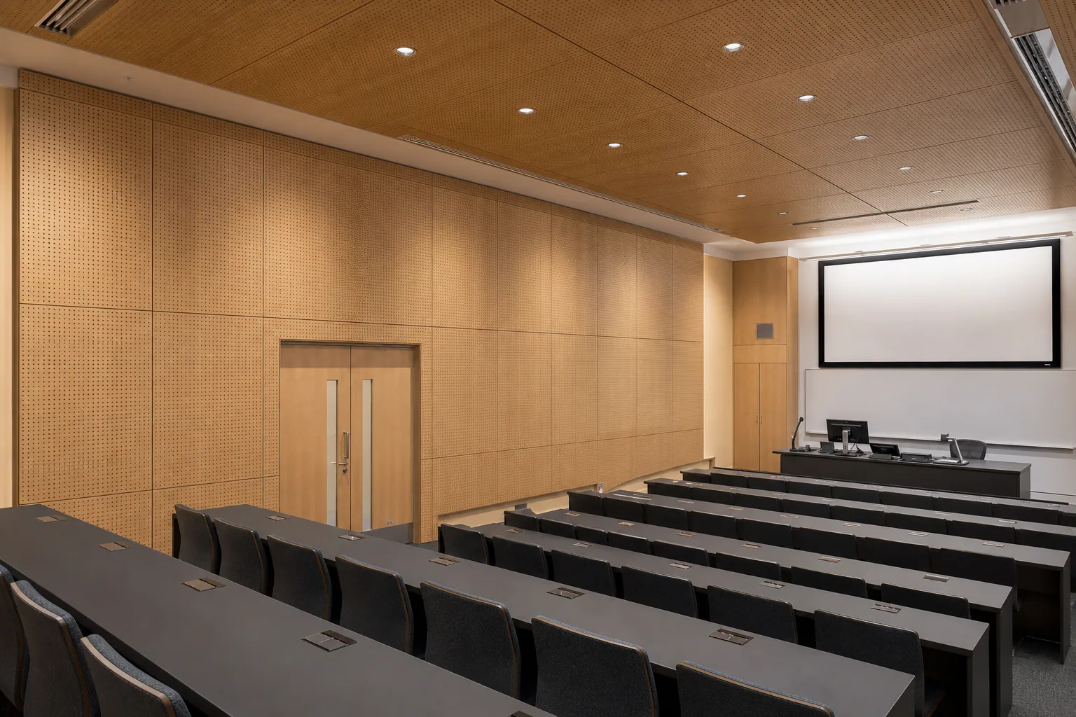 University lecture hall with perforated wood acoustic panels across side walls and ceiling